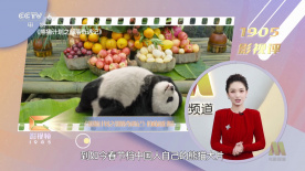 啊哈嗯嗯用力cao我np强